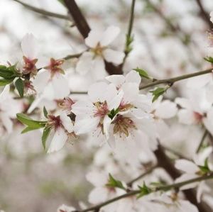 Meet your Posher, Elle